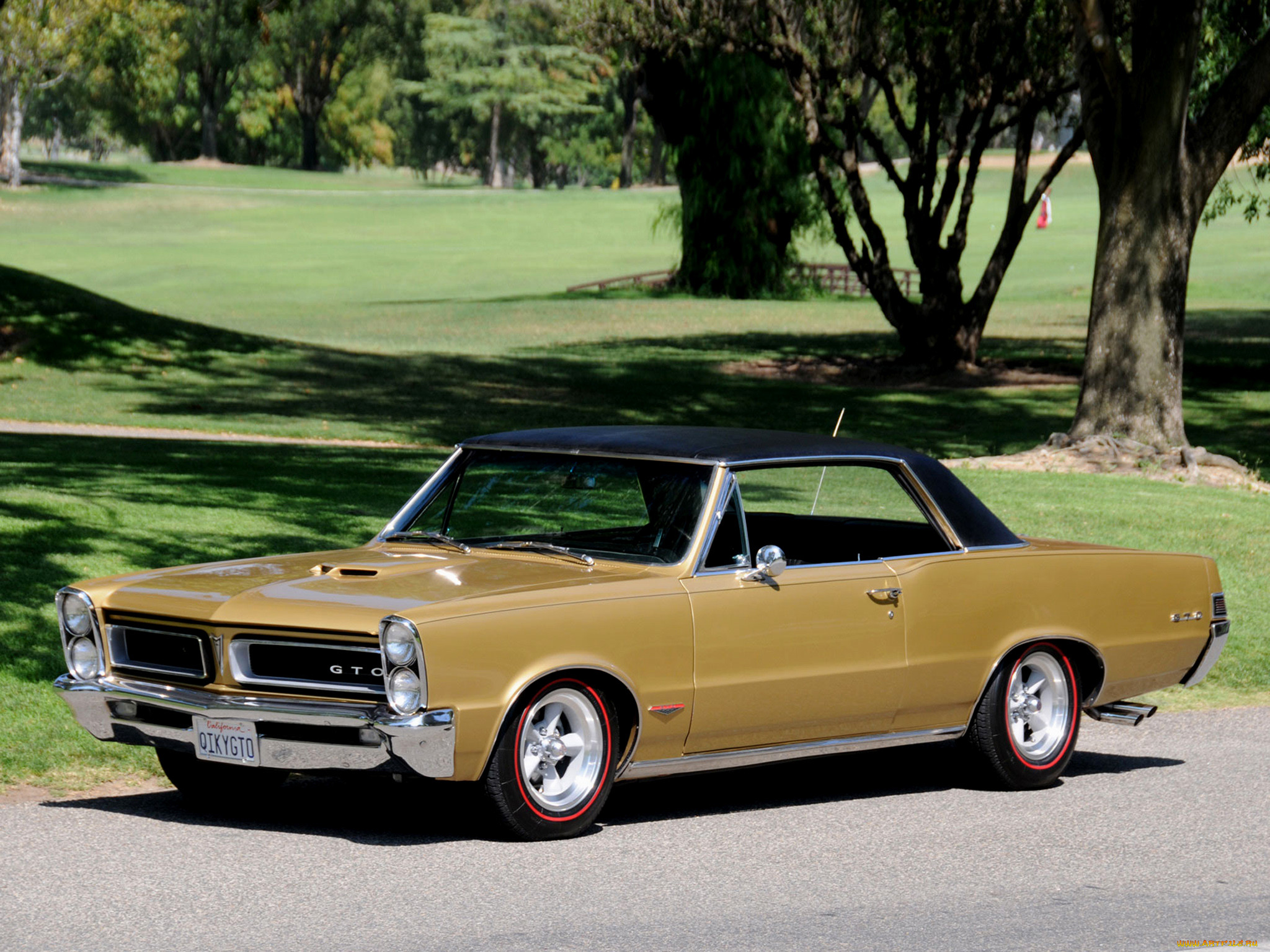 pontiac gto 1967